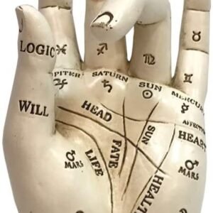 Magicun N.Giftware~Palmistry Chriomancy Fortune Telling Hand Figurine, Polyresin, White, 17.7cm