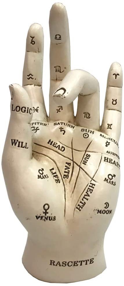 Magicun N.Giftware~Palmistry Chriomancy Fortune Telling Hand Figurine, Polyresin, White, 17.7cm