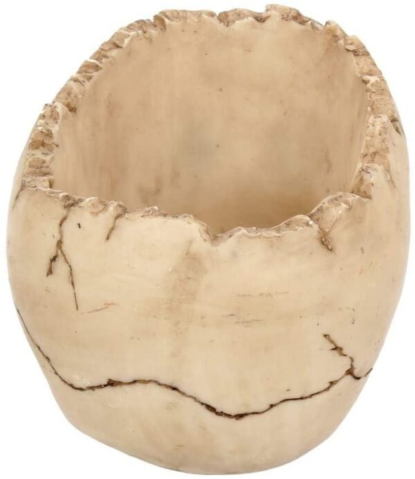 Dark Collection~Lobo Ashtray 13.5cm Ivory