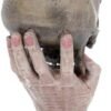 Magicun N.Giftware~Metallica Sad But True Skull 22cm, Resin, Taupe