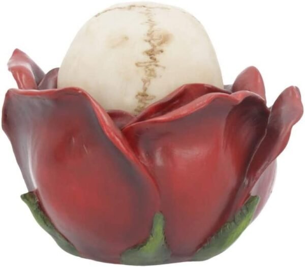 Magicun N.Giftware~Beauty and The Deceased 12.5cm Box, Red