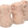 Animal Collection~ Three Wise Pigs Figurine 11cm Pink