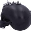 Dark Collection~Cave Small Dragon Hiding Within a Crystal Skull, Polyresin, Black, 16.5cm