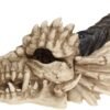 Magicun N.Giftware~Dragon Skull Box 15cm Ivory