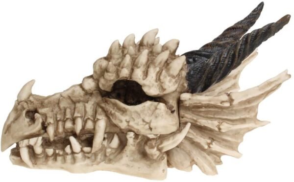 Magicun N.Giftware~Dragon Skull Box 15cm Ivory