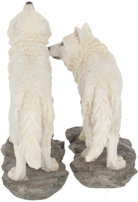 Animal Collection~ Watchers Set of 2 15.6cm Figurine, White