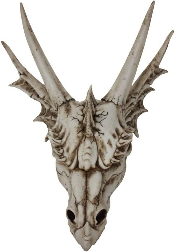 Dark Collection~The Last Dragon Skull Figurine 40cm Ivory