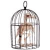 9.5" Skeleton Crow in a Cage Halloween Decoration