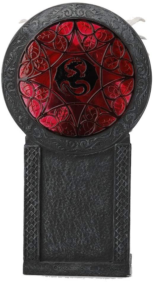 Magic  Collection~9.5 Inch Anne Stokes Valour Dragon Gothic Female Warrior Polyresin Hand Painted Figurine Sculpture