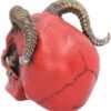 Magicun N.Giftware~Tenacious Demon Skull Figurine 13.3 Centimeter