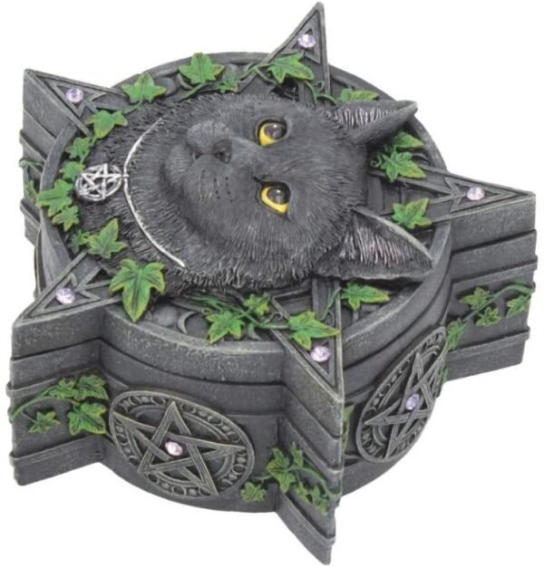 Artist Collections~ Charmed One Box Lisa Parker 14.5cm, Black, Size