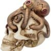 Steampunk Collection~Octo Craniotomy Skull Figurine 15.5cm Ivory, Resin