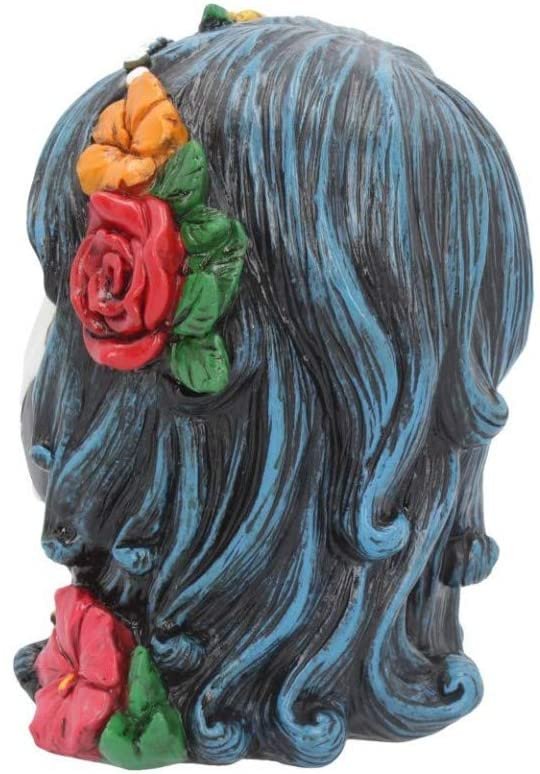 Dark Collection~Deathlea Money Box 15cm Black