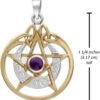 Sterling Silver 14k Gold Plated Crescent Moon Pendant Pentacle with Natural Amethyst