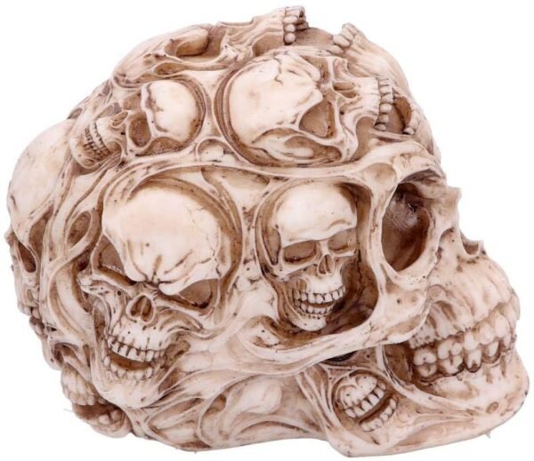 Artist Collections~ Skulls James Ryman 18cm, Ivory