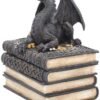 Magicun N.Giftware~Secrets Of The Dragon Box 19cm Black