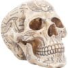 Mythology Collection~ D1979F6 Hieroglyphic Skull Figurine 16cm Ivory