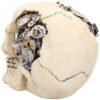 Steampunk Collection~Clockwork Cranium Figurine 15cm Ivory