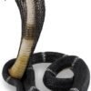 Magic  Collection~Coiled and Rearing King Cobra Sculptured Statue