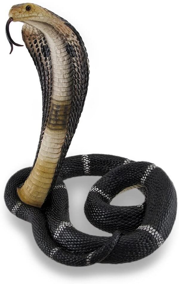 Magic  Collection~Coiled and Rearing King Cobra Sculptured Statue