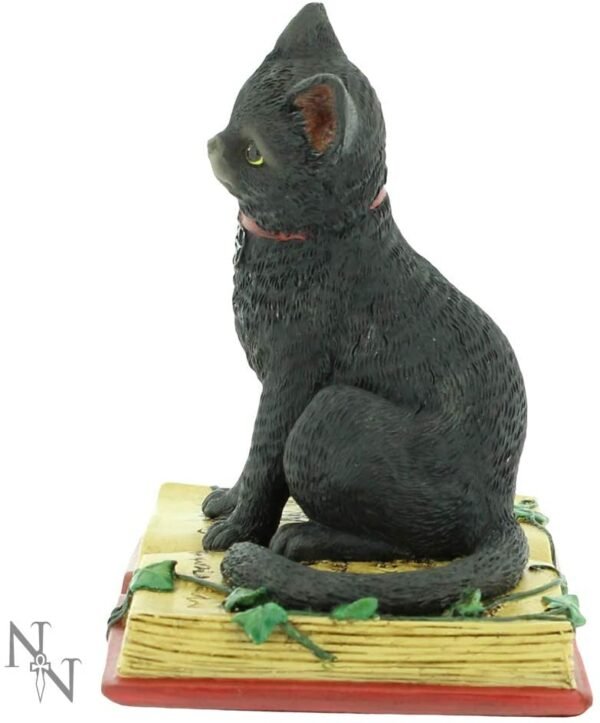 Wiccan Collection~Eclipse Figurine 16cm Black, 12cm