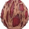 Dark Collection~D4964R0 Hoard Rotting Zombie Skull Ornament, Flesh Colour, One Size