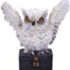 Wiccan Collection~Archimedes White Horned Owl Perched on a Locked Box Figurine, 12.5cm
