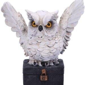 Wiccan Collection~Archimedes White Horned Owl Perched on a Locked Box Figurine, 12.5cm