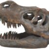 Magicun N.Giftware~Tyrannosaurus Rex Skull Freestanding Figurine 18.5cm Grey