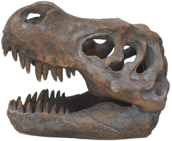 Animal Collection~ Tyrannosaurus Rex Skull Freestanding Figurine 18.5cm Grey