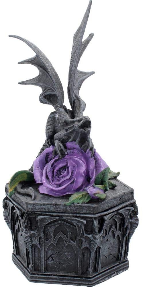 Artist Collections~ Dragon Beauty Anne Stokes Box 25cm Black, Resin