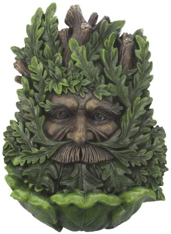 Light Collection~Wise Oak Wall Plaque 19cm Green