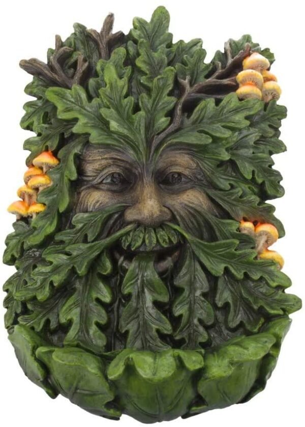 Light Collection~D4267M8 Elderwood Wall Plaque 19cm Green, Polyresin, 23.8cm