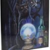 Magicun N.Giftware~Witches Apprentice Small Lisa Parker Crystal Clear Picture 26cm Blue, MDF and Resin, One Size