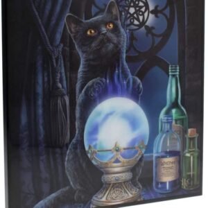 Magicun N.Giftware~Witches Apprentice Small Lisa Parker Crystal Clear Picture 26cm Blue, MDF and Resin, One Size