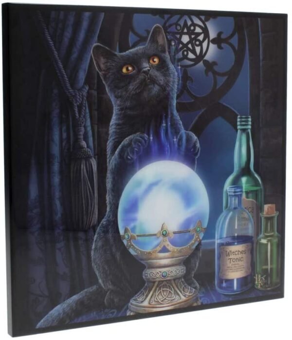 Magicun N.Giftware~Witches Apprentice Small Lisa Parker Crystal Clear Picture 26cm Blue, MDF and Resin, One Size
