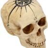 Dark Collection~B4057K8 Dead Man's Map Skull Figurine 17.5cm White, Resin, One Size
