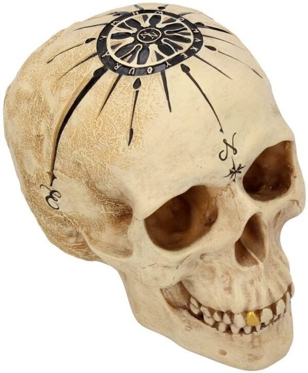 Dark Collection~B4057K8 Dead Man's Map Skull Figurine 17.5cm White, Resin, One Size