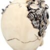 Steampunk Collection~Clockwork Cranium Figurine 15cm Ivory