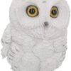 Magicun N.Giftware~Winters Wisdom 19cm Figurine, White
