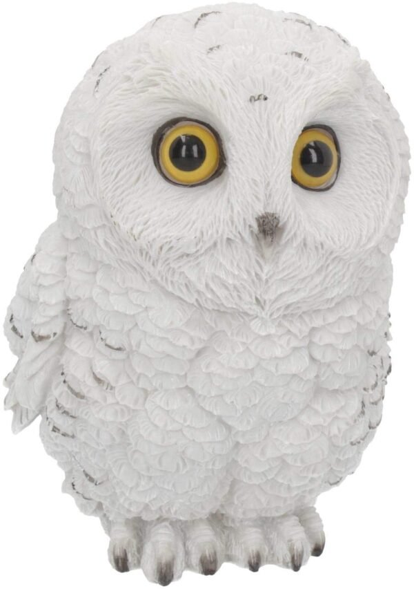 Magicun N.Giftware~Winters Wisdom 19cm Figurine, White