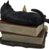 Magic  Collection~The Witching Hour Black Cat Sculpture