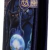 Artist Collections~ B4005K8 Witches Apprentice Lisa Parker Embossed Purse 19cm Purple, PU