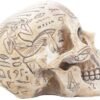 Mythology Collection~ D1979F6 Hieroglyphic Skull Figurine 16cm Ivory