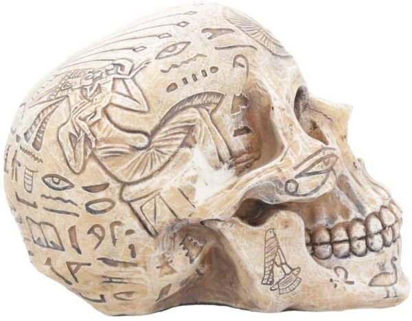 Mythology Collection~ D1979F6 Hieroglyphic Skull Figurine 16cm Ivory