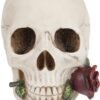 Dark Collection~Argentine Skull Money Box 18cm Ivory