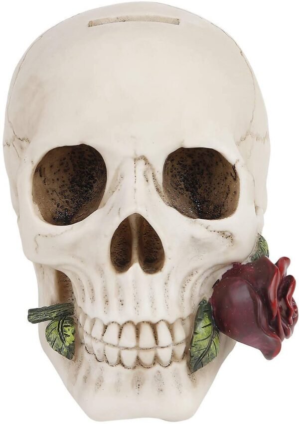 Dark Collection~Argentine Skull Money Box 18cm Ivory