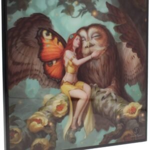 Artist Collections~ Fairy and Owl Small Crystal Clear Picture James Ryman 25cm, MDF and Resin, Brown
