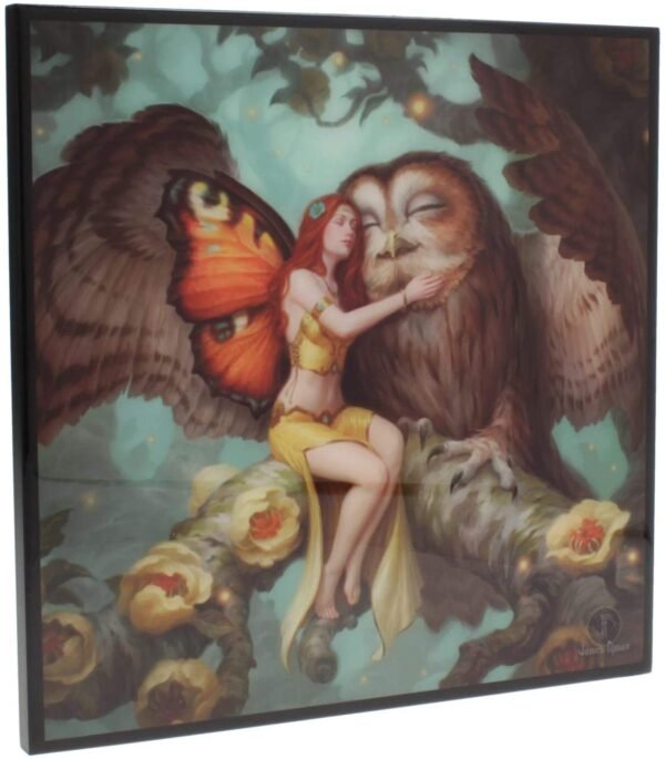 Artist Collections~ Fairy and Owl Small Crystal Clear Picture James Ryman 25cm, MDF and Resin, Brown