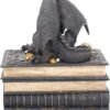 Magicun N.Giftware~Secrets Of The Dragon Box 19cm Black